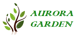 Aurora – Website chính thức của chủ đầu tư