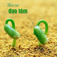 khai mo dao tam