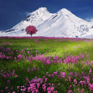 amazing-beautiful-beauty-blue